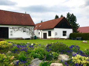 Venkovská usedlost Horšice Horšice